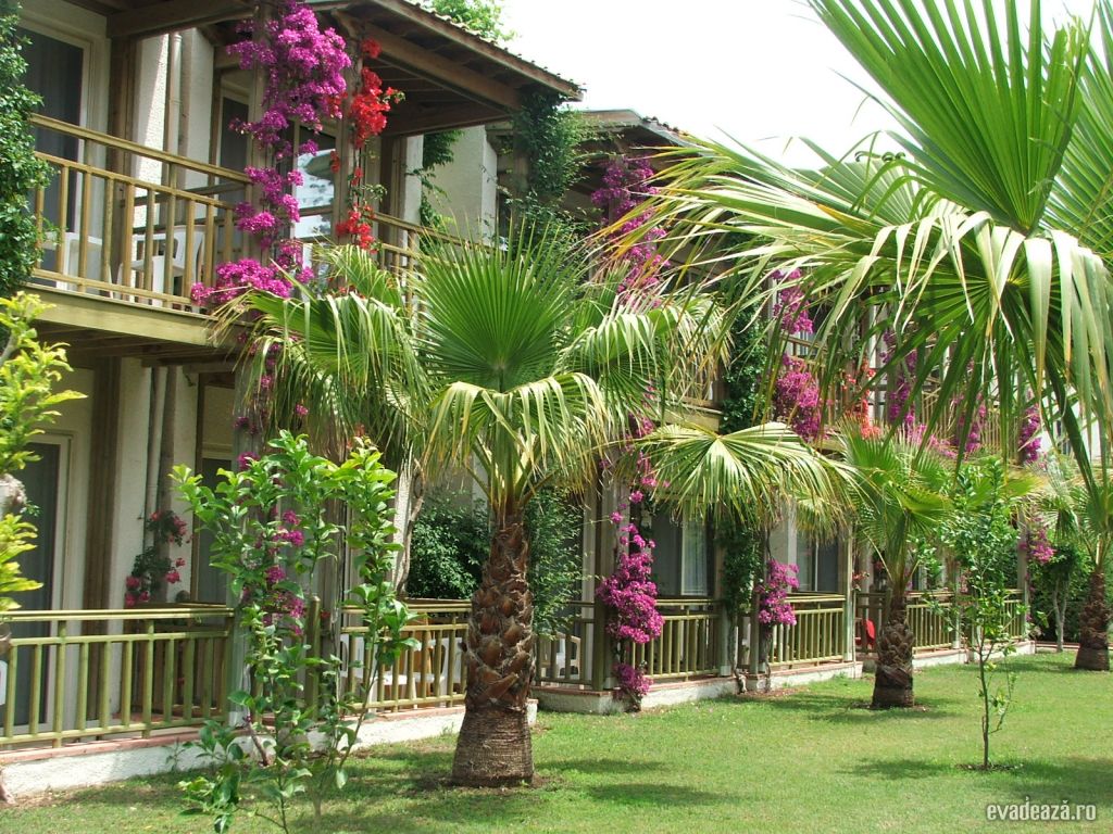 Hotel Papillon Muna | 5