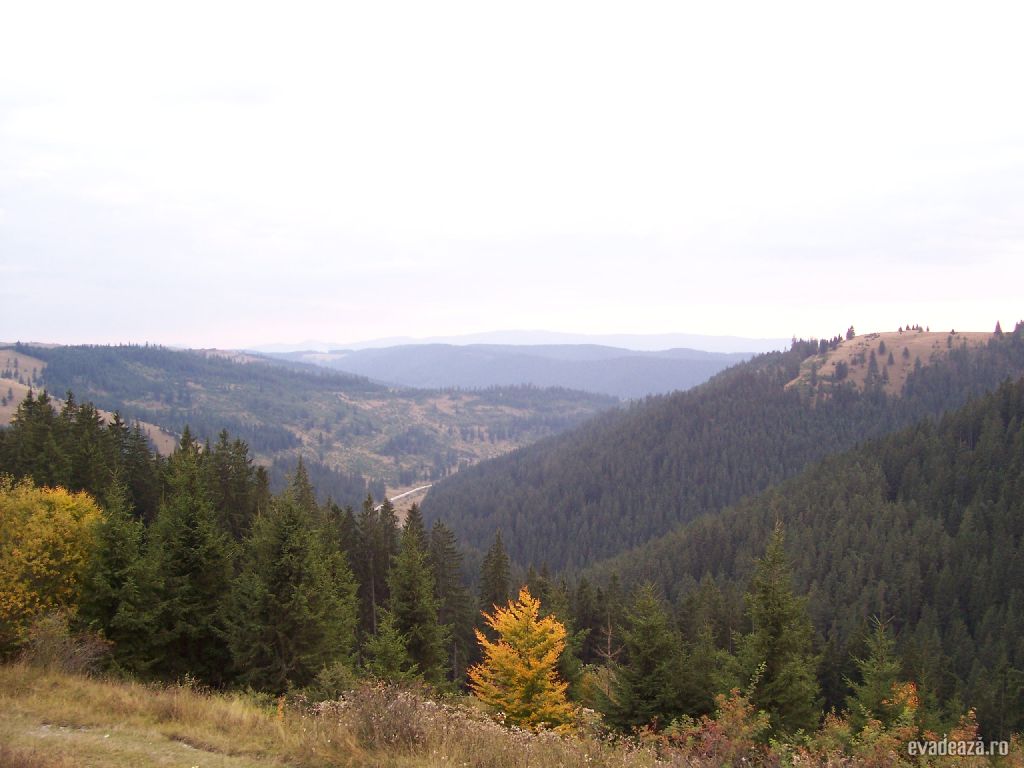 Privelişte de pe vârful Viscol | 3