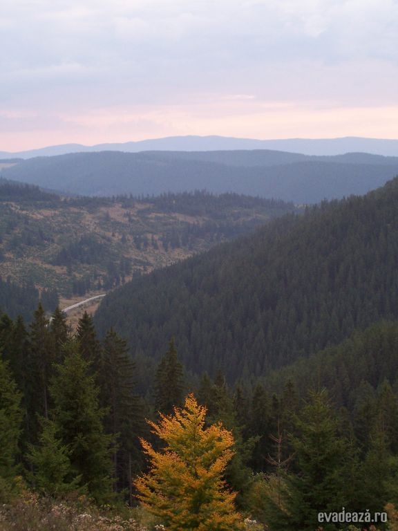 Privelişte de pe vârful Viscol | 4