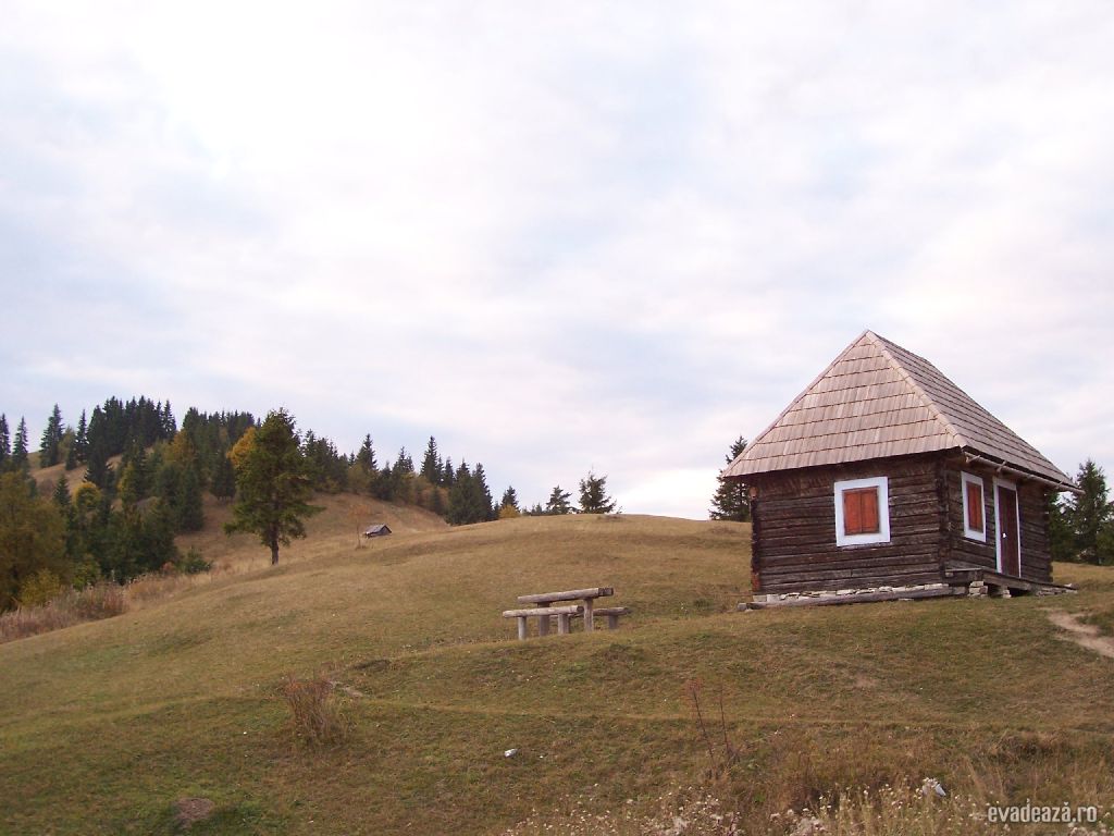 Privelişte de pe vârful Viscol | 5