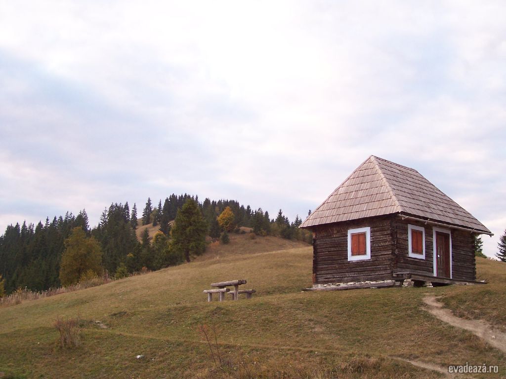 Privelişte de pe vârful Viscol | 6