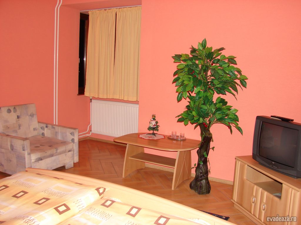 Pensiunea Hoffer | 4