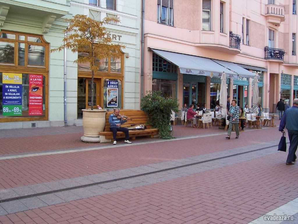 Szeged un strop de cultură | 3
