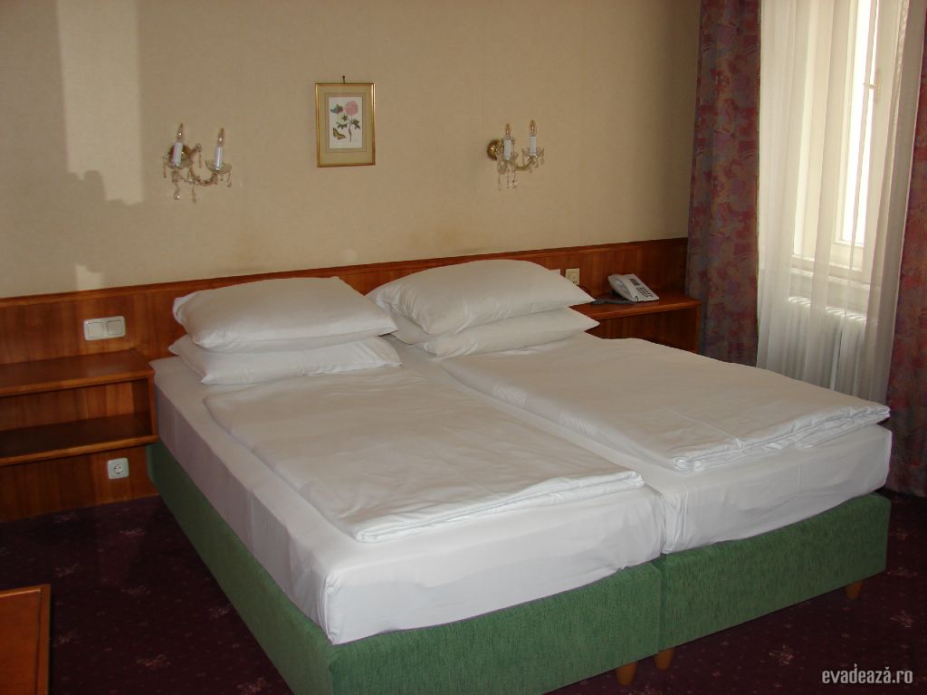 Hotel Kaertnerhof Viena | 3