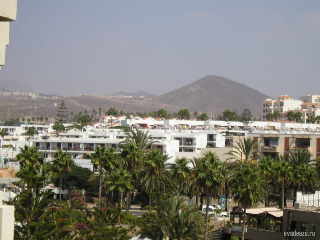 Sol Melia Tenerife | 6