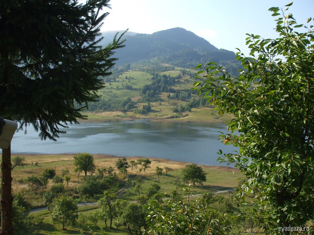 Un coltisor linistit | 2