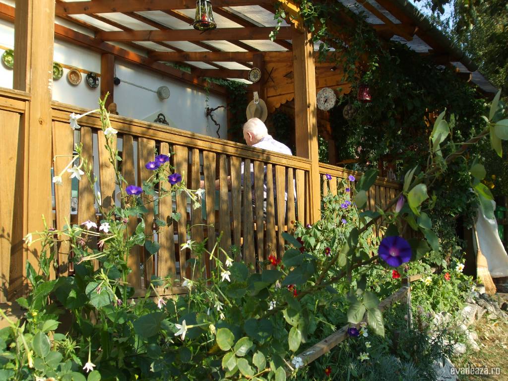 Un coltisor linistit | 6