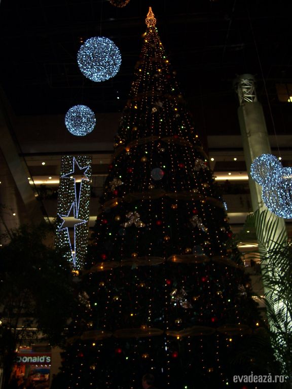 Shopping la Westend City Center | 1