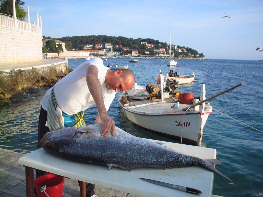 Hvar, capitala insulei cu acelasi nume | 1