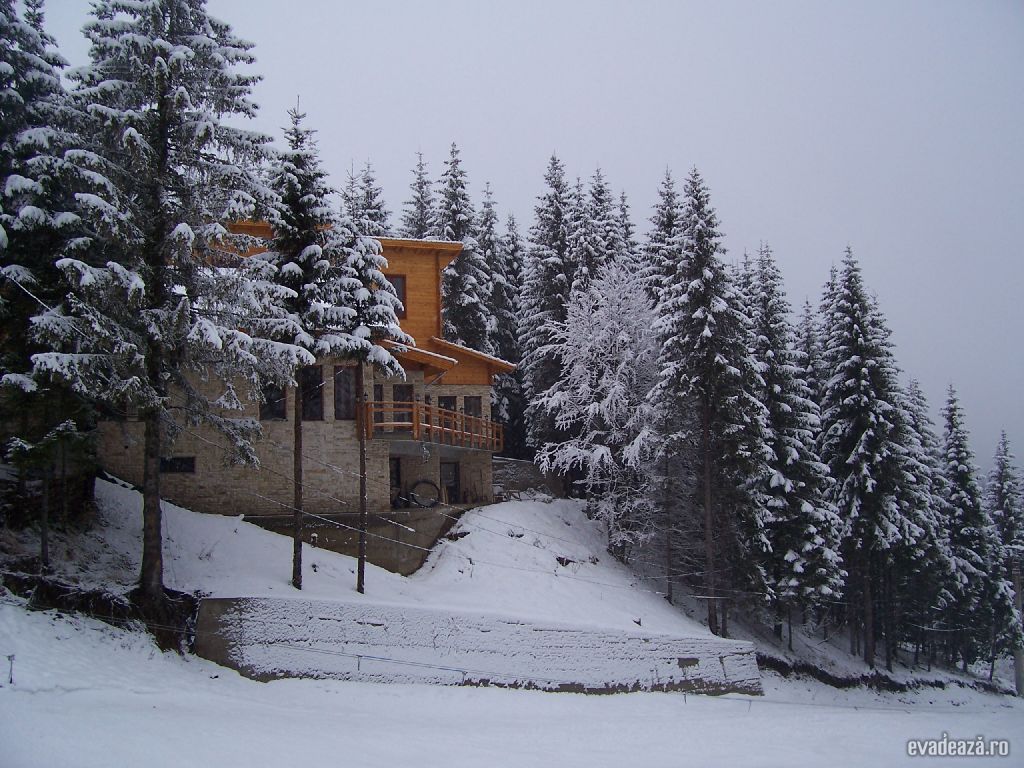 Panoramă Munţii Harghita | 4