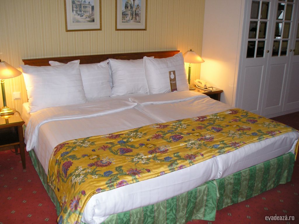 Radisson Hotel Viena | 4