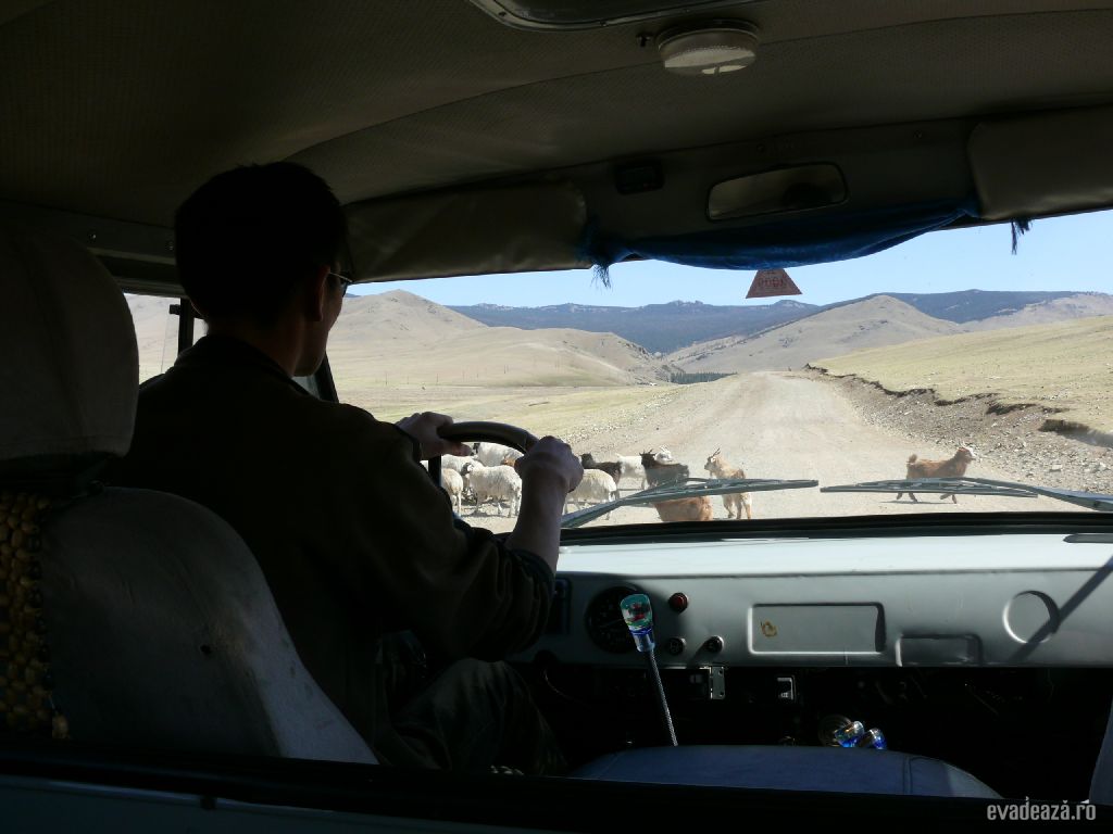 Mongolia 2008, 2009 | 3