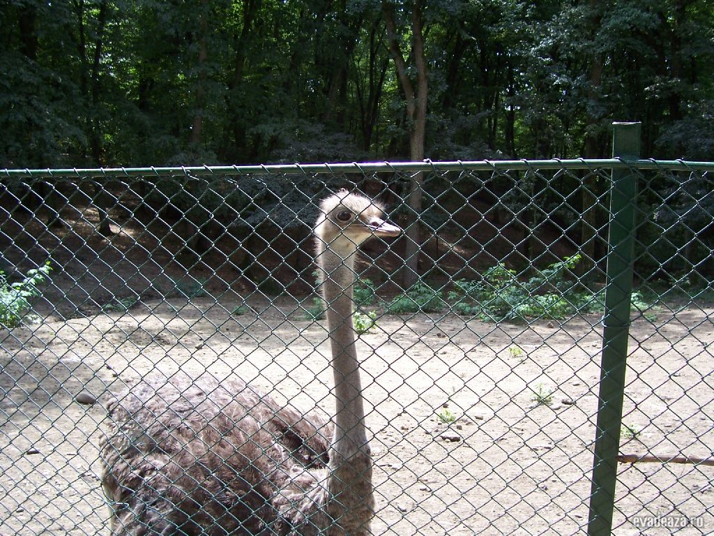 Zoo Târgu Mureş | 2