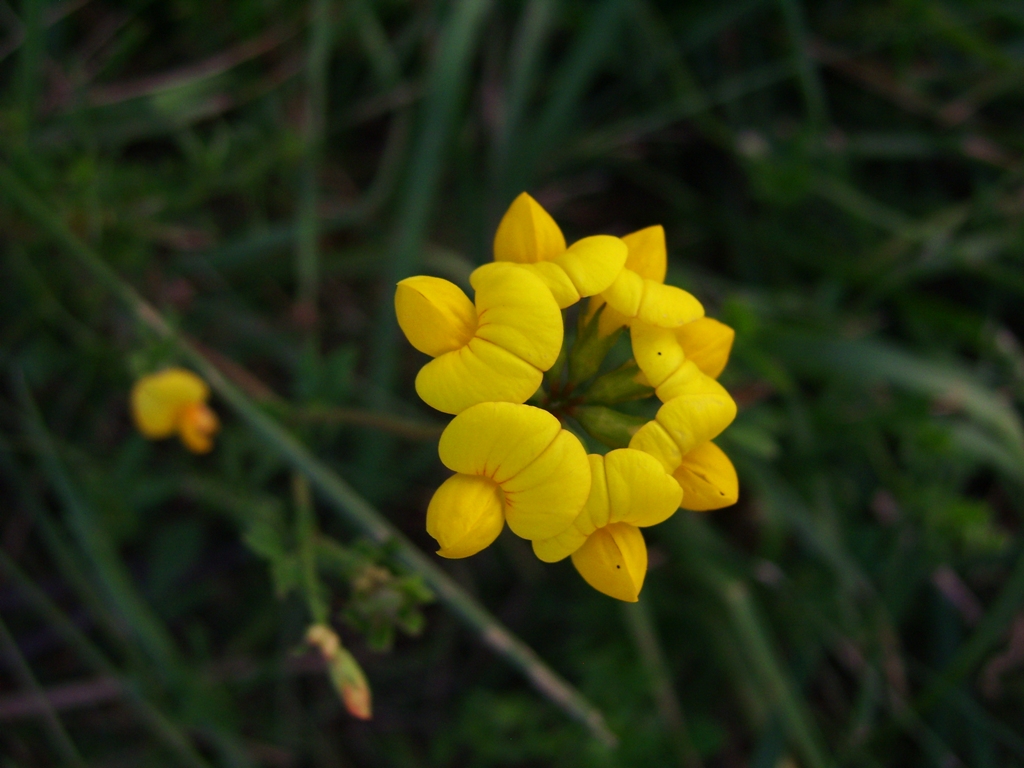 un colt din Romania noastra | 3