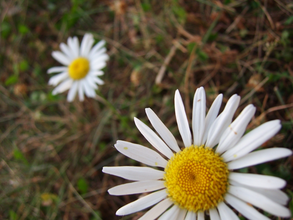 un colt din Romania noastra | 4