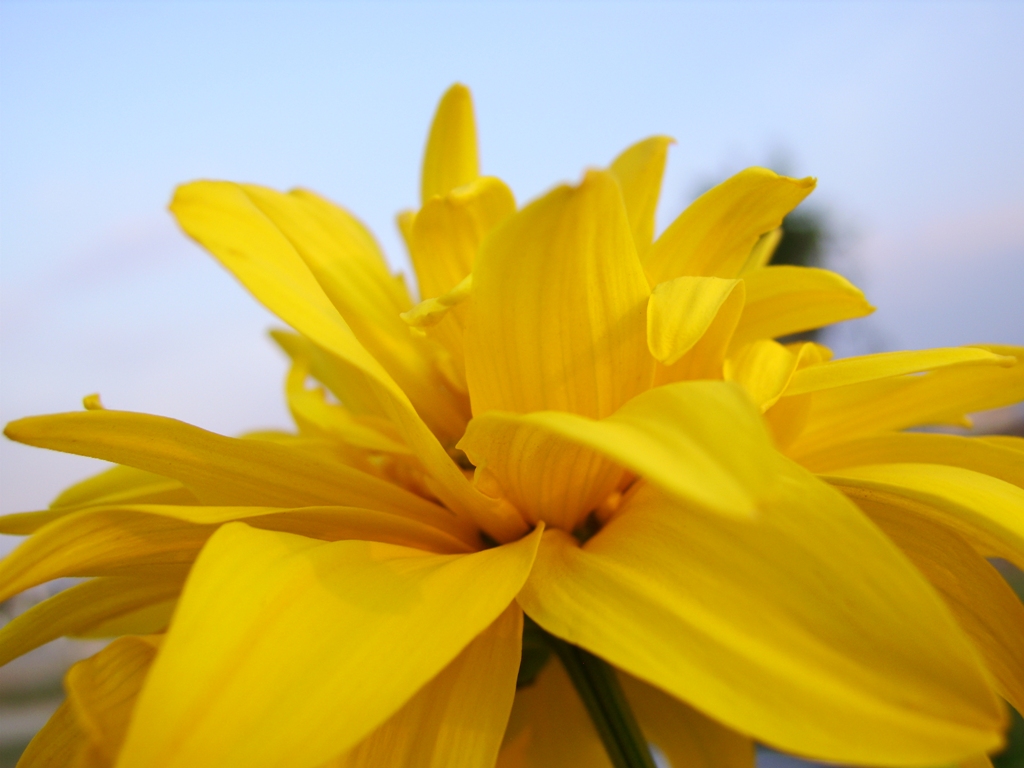 un colt din Romania noastra | 6