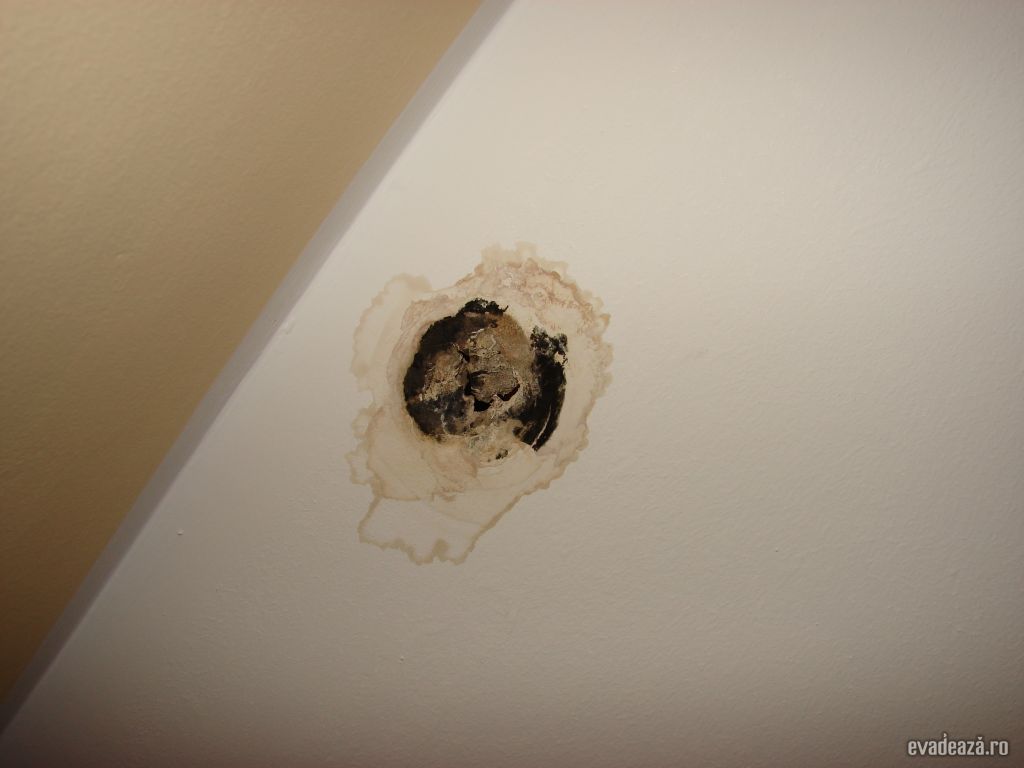 Continental Timisoara | 5