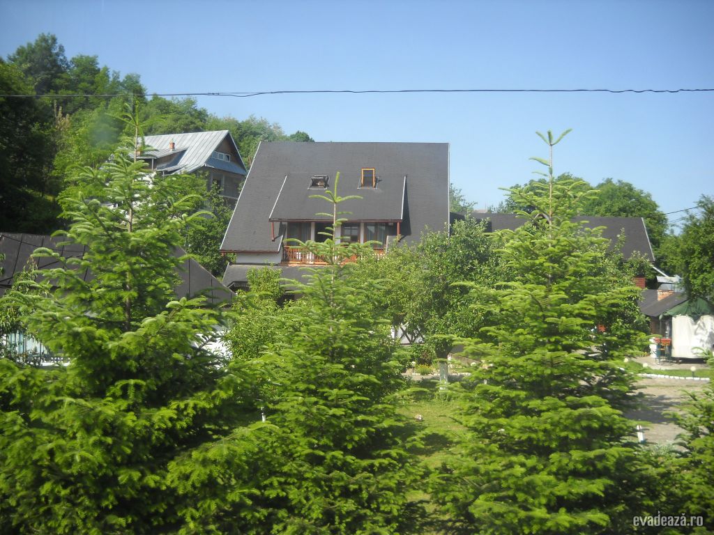 Sfântul Nicolae ALUNIŞ