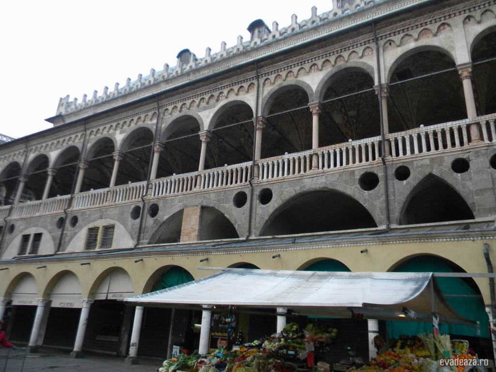 Scurt popas la Padova | 5