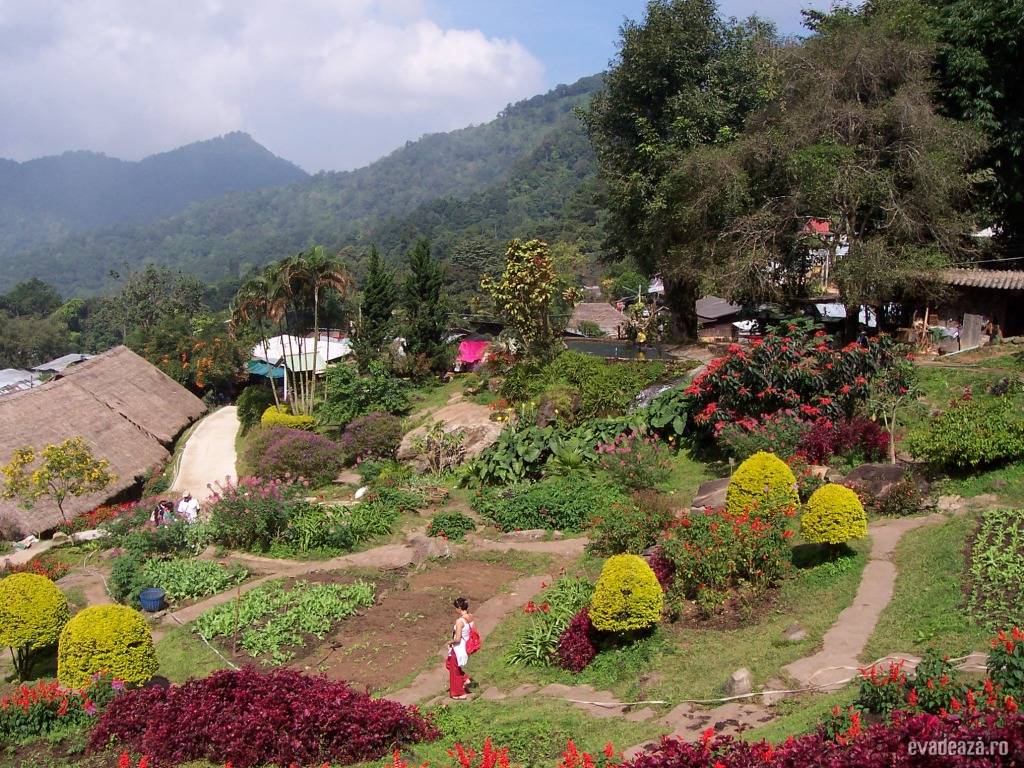 Nordul Thailandei | 1