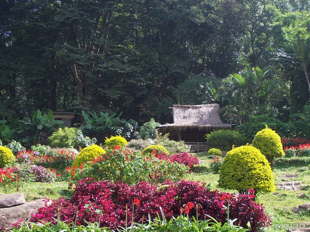 Nordul Thailandei | 3