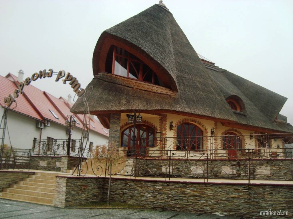 Shaian - Ucraina | 2