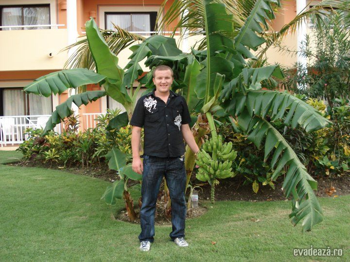 Caraibe, Punta Cana | 3