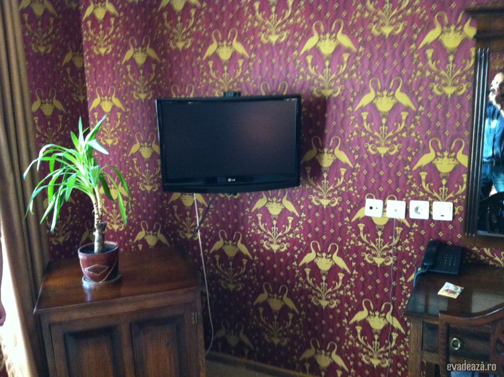 Hotel Majestic Iasi | 3