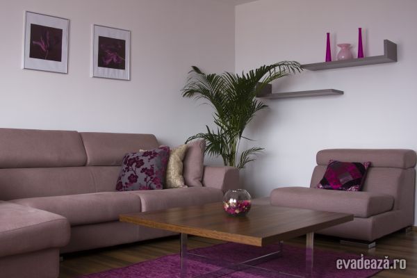 Living apartament cu 2 camere