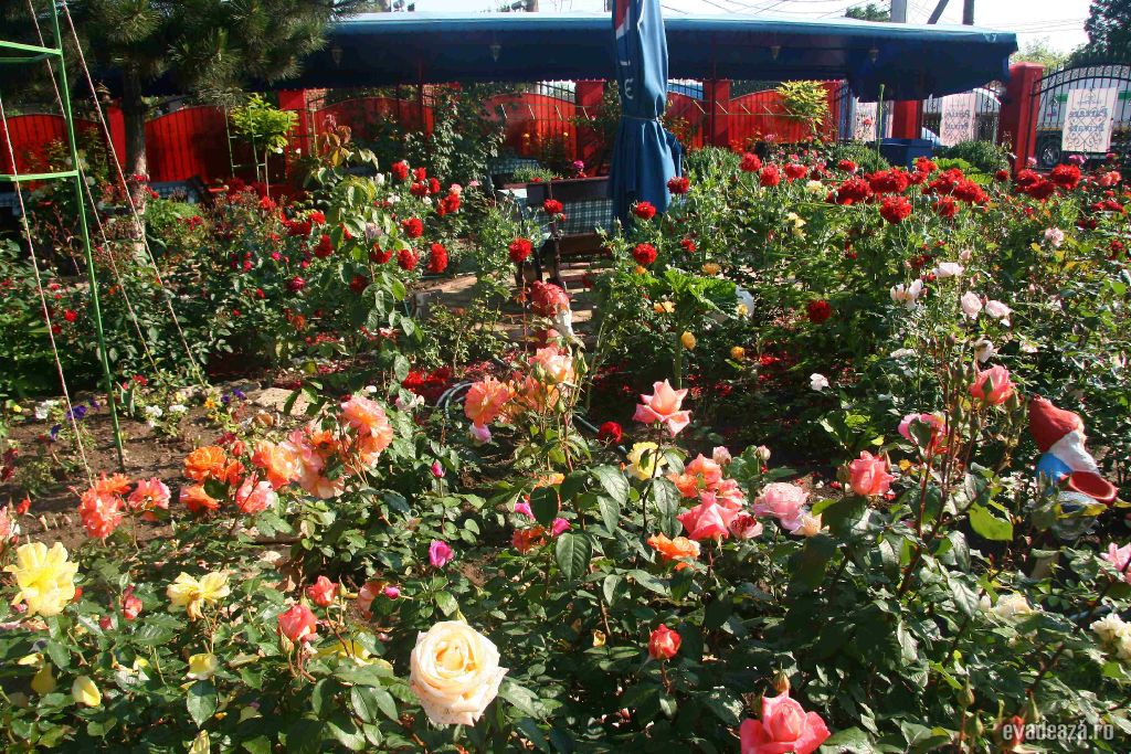 Cazare 2 Mai CasaMargo | 5