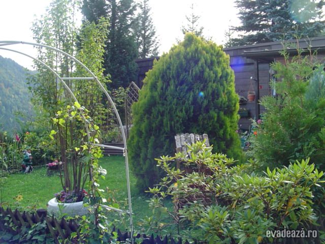 Gradina in Kleinzell