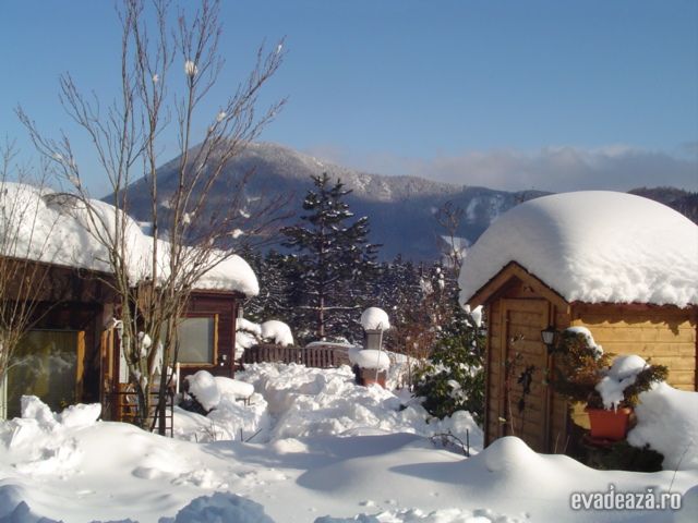 Iarna, iarna, iarna...