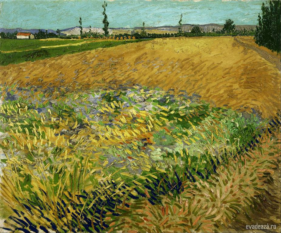 Muzeul Van Gogh | 1