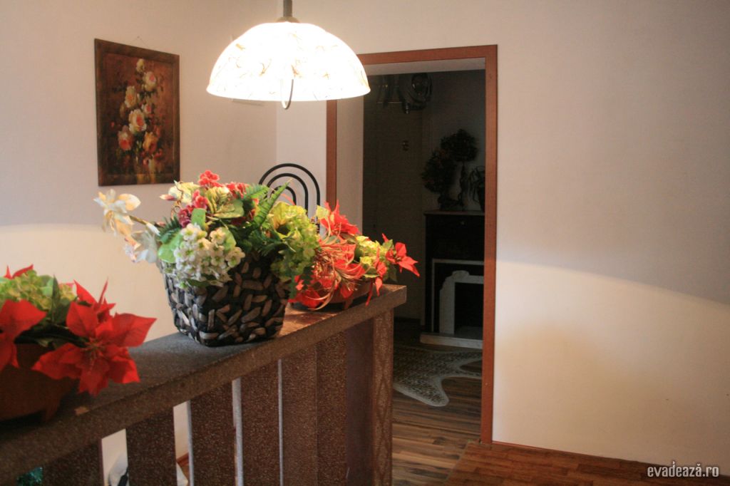 Pensiuni in Timisoara Venus