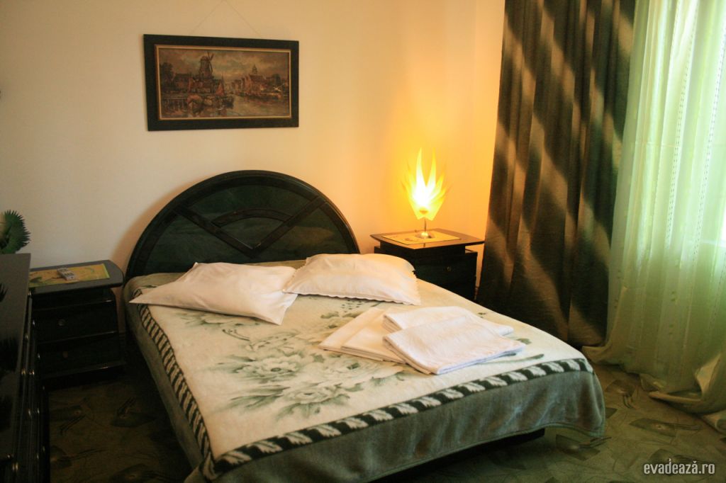 Pensiuni Timisoara - Venus