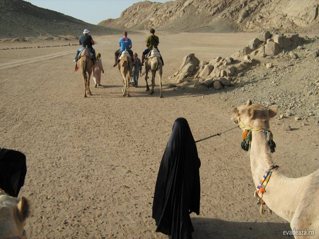 O zi la beduini | 1