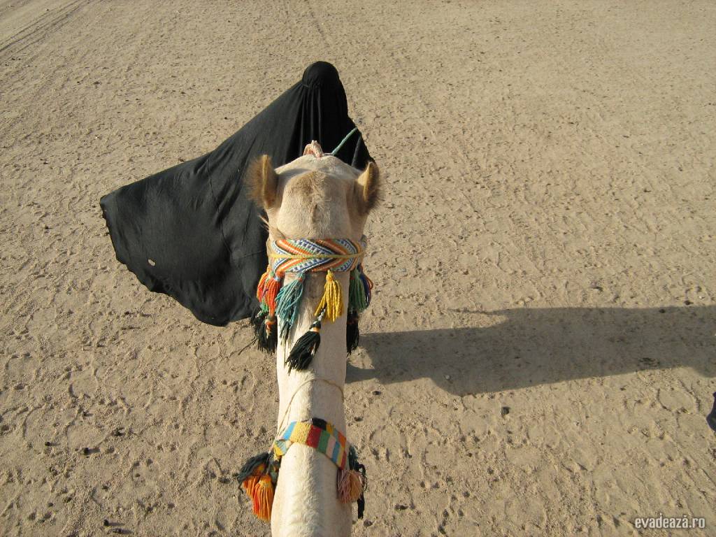 O zi la beduini | 6