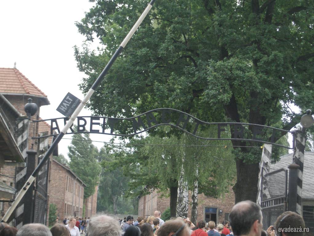 Auschwitz-Birkenau | 1
