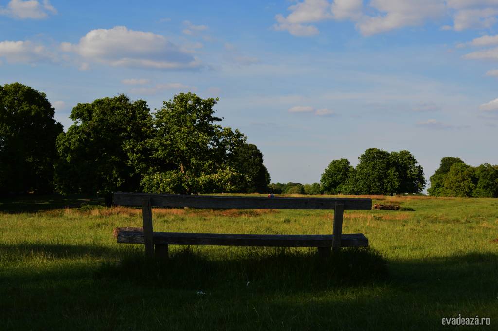 Richmond Park | 1