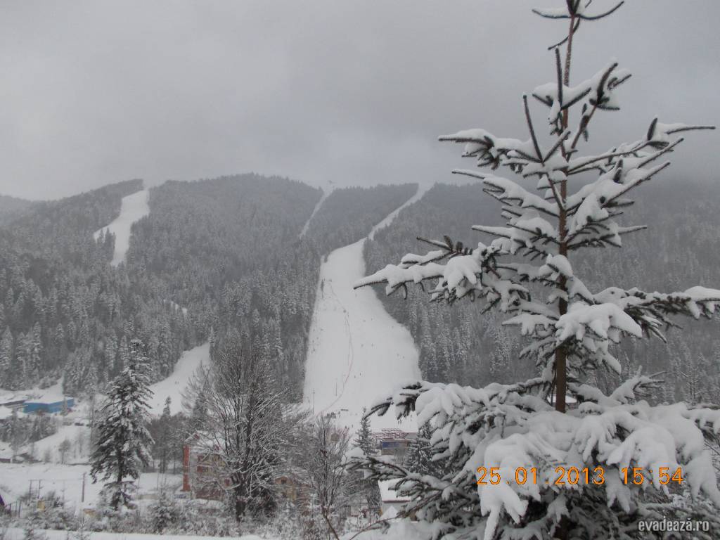 Frumusetea iernii la munte : Partia Sorica - Azuga | 4