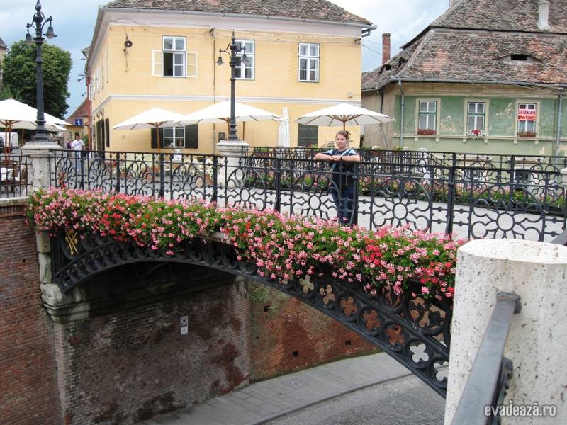 Curtea de Arges-Transfagarasan-Sibiu | 6