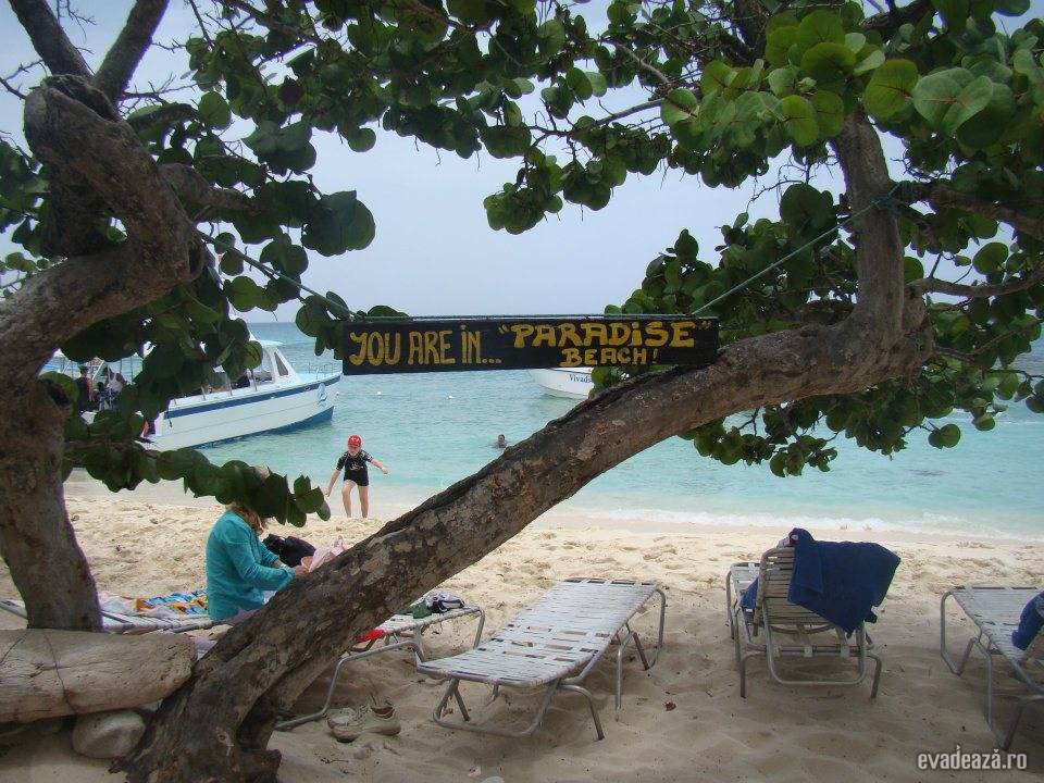 o luna de miere de vis | 1