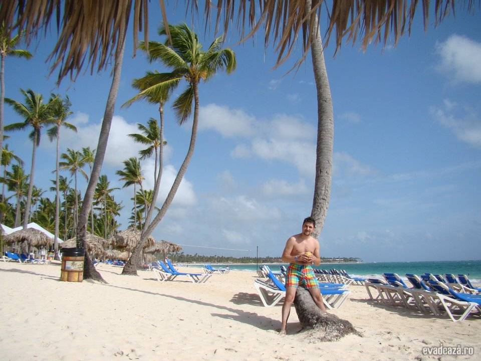 o luna de miere de vis | 2