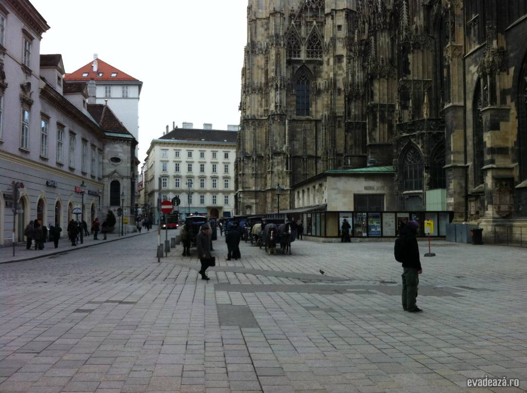 Catedrala St. Stefan Viena - St. Stephen's Cathedral | 5