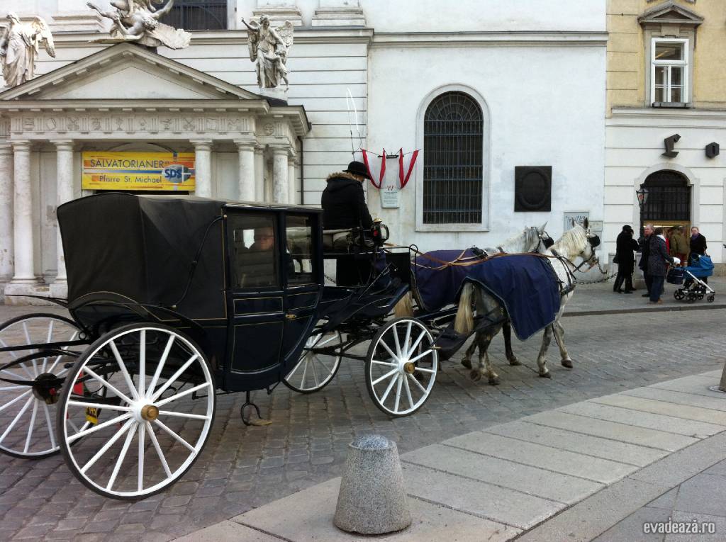 Catedrala St. Stefan Viena - St. Stephen's Cathedral | 6