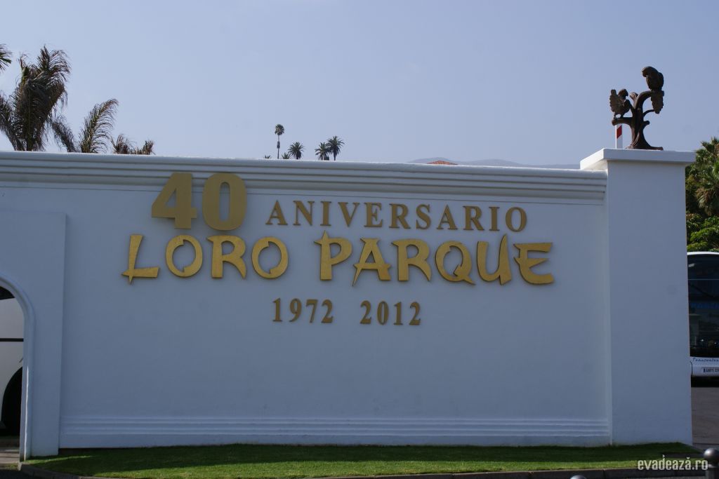 Puerto de la Cruz | 1