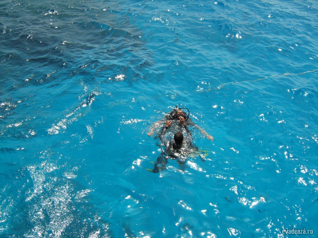 Scuba diving la Marea Rosie | 1