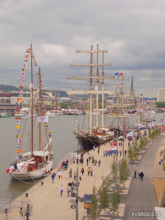 Armada-festival de veliere | 1