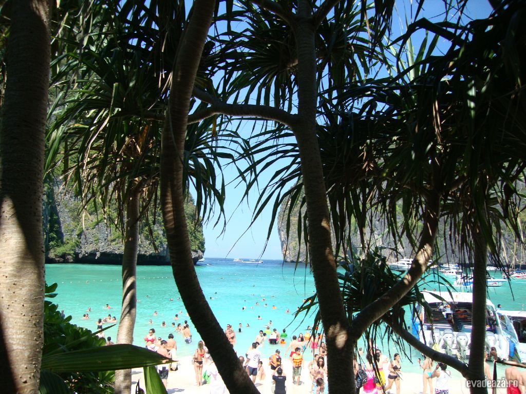 Phi Phi Island | 5