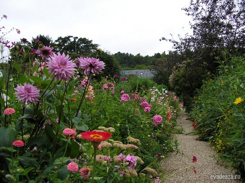 Gradinile lui Monet - la Giverny